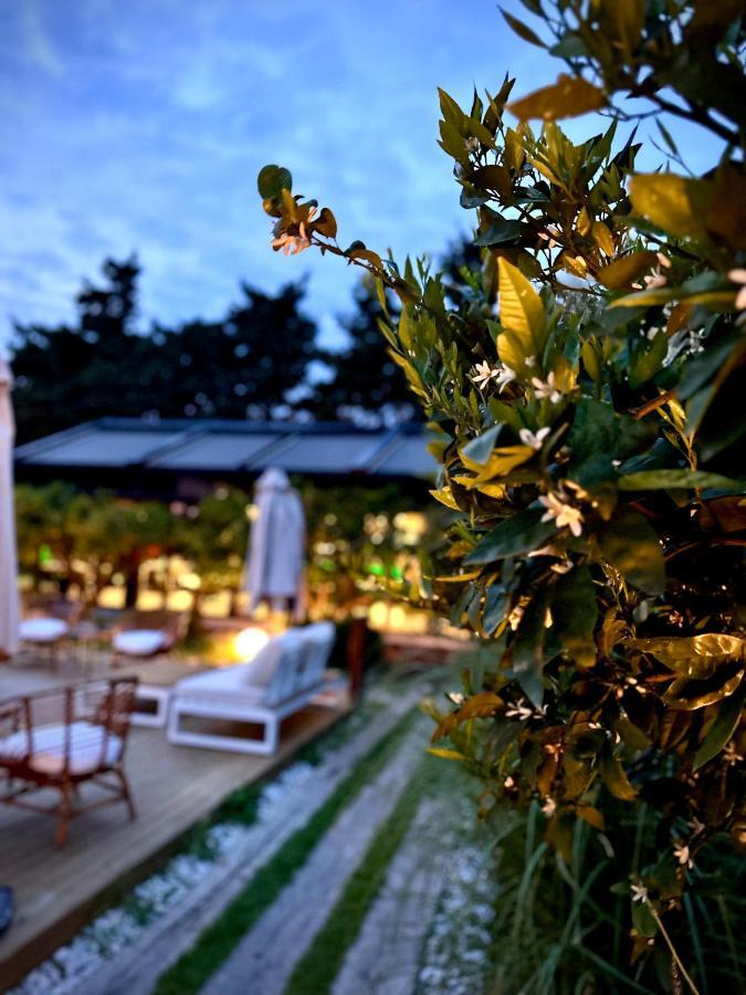 Tiny Town Kuyucak Ξενοδοχείο Karaburun  Εξωτερικό φωτογραφία